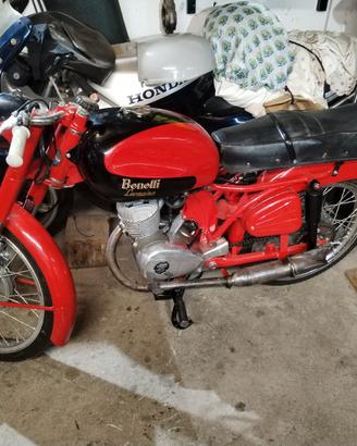 Benelli leoncino 