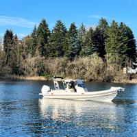 NJ Prince 24 Verado V8 300 + Carrello