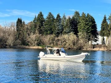 NJ Prince 24 Verado V8 300 + Carrello