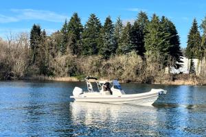 NJ Prince 24 Verado V8 300 + Carrello