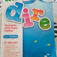 dizionario dire