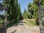 Immagine 11