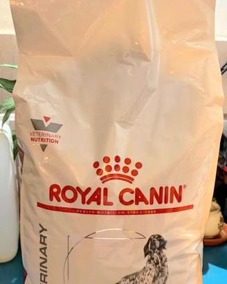 Renal cane 14kg 