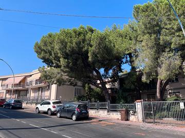 Deposito e garage altezza 4 metri