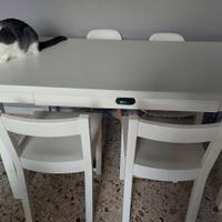 tavolo ikea ,fisso x 6 posti in buone condizioni 
