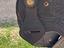 Immagine 6