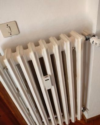 Termosifoni in ghisa