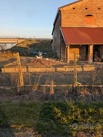 letame per orti e giardinaggio