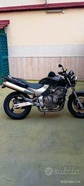 Hornet 2001 con assicurazione 