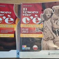 2 Libri Il tesoro che c'è 9788839302557