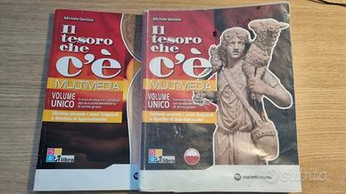 2 Libri Il tesoro che c'è 9788839302557