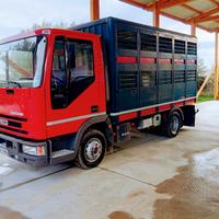 Iveco Eurocargo 