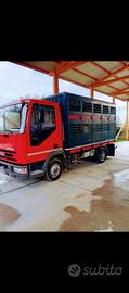 Iveco Eurocargo 