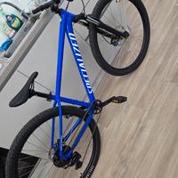 Bicicletta Specialized Mountain Bike
