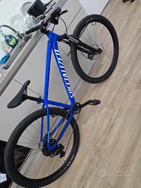 Bicicletta Specialized Mountain Bike