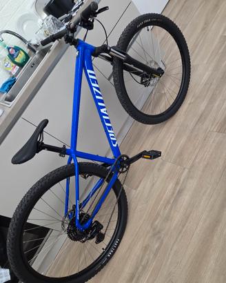 Bicicletta Specialized Mountain Bike