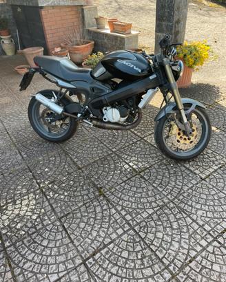 Cagiva raptor 125