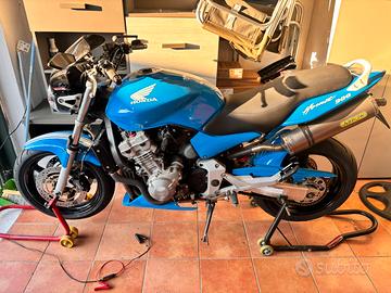 Hornet 900