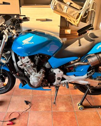 Hornet 900