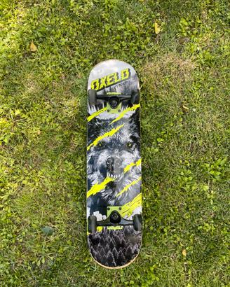 Skateboard