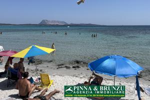 La Cinta - San Teodoro