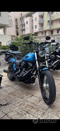 Harley davidson street bob 2010