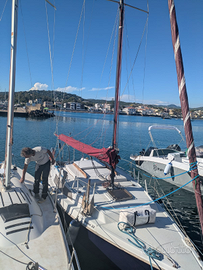 Barca a vela Neptun 22