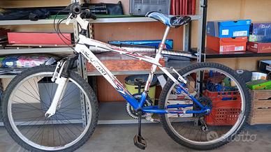 Bicicletta 