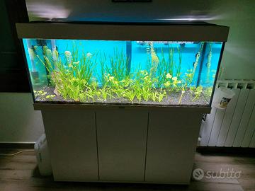 Acquario Juwel 240 litri completo con mobile 