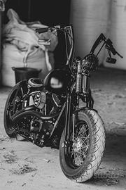 Harley-davidson FLSTSB Softail Cross Bones