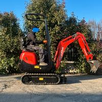 E213 Mini escavatore Neuson 10 q carro allargabile