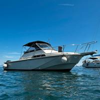 Boston Whaler 27