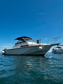 Boston Whaler 27