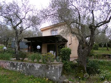 Solo brevi periodi, monolocale in campagna