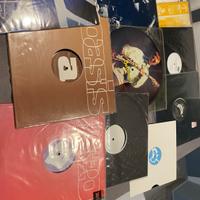 Oasis rari vinili da collezione