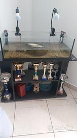 acquario 
