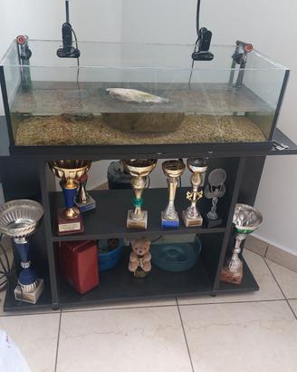 acquario 