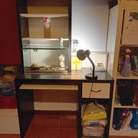 scrivania  con cassetto e ripiano per tastiera pc