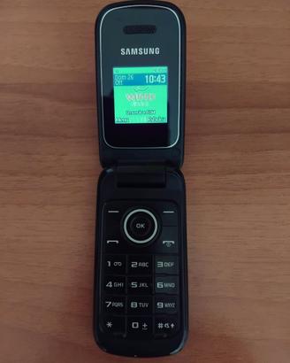 Samsung GT - E1190