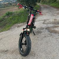 Bici elettrica harry’s prezzo trattabile