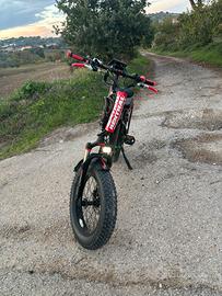 Bici elettrica harry’s prezzo trattabile