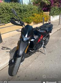 Dorsoduro 900