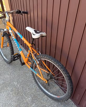 bicicletta 24"