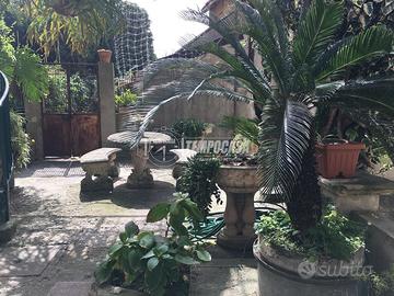 Via Tremonti bassa, Ogliastri