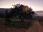 Immagine 11