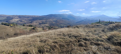 Terreno edificabile a pignola
