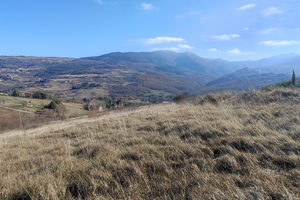 Terreno edificabile a pignola