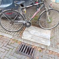 Bici uomo