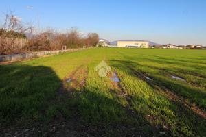 TER. AGRICOLO A OSPITALETTO