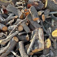 Legna x camini e stufe e pizzerie